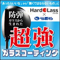 【HardoLass】ハドラス ゴルフクラブ ガラスコーティング加工