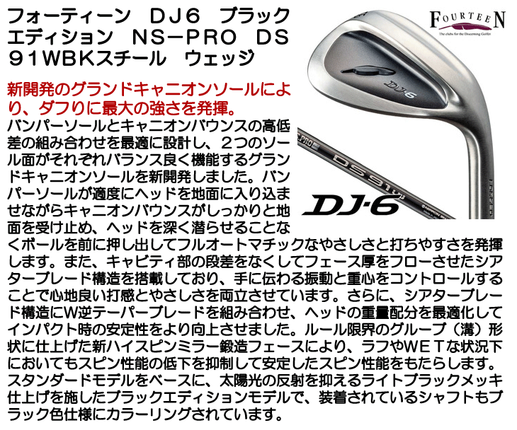 フォーティーン　DJ-6  48°　N.S.PRO  DS -91w