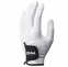 【即日発送対応】ピン 2020 GL-P201 (LH) ゴルフ手袋 (左手着用)