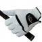 【即日発送対応】プロジカル PGGL-2190MシープLH 天然皮革 ゴルフ手袋(左手着用)