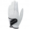 【即日発送対応】テーラーメイド パワーバイト TJ161 ゴルフ手袋（左手着用）