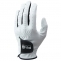 【即日発送対応】ピン 2023 GL-P2302 ゴルフ手袋(左手着用)